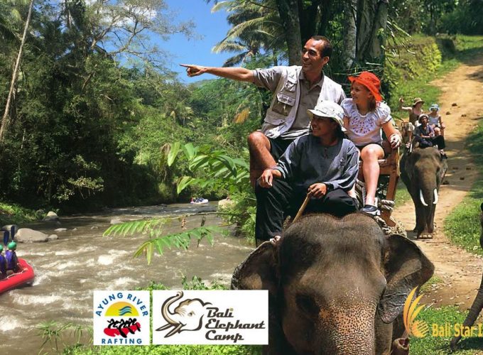 Elephant Camp and Rafting Package bali, elephant, camp, rafting, packages, bali elephant, bali elephant camp, bali elephant camp rafting package, elephant camp rafting, elephant camp rafting package, bali adventure packages