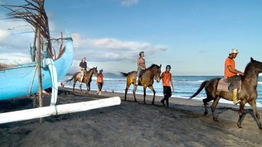 bali, horse, riding, true balinese, experience, adventures, bali horse riding, horse back riding, true balinese experience, saba beach, saba bay