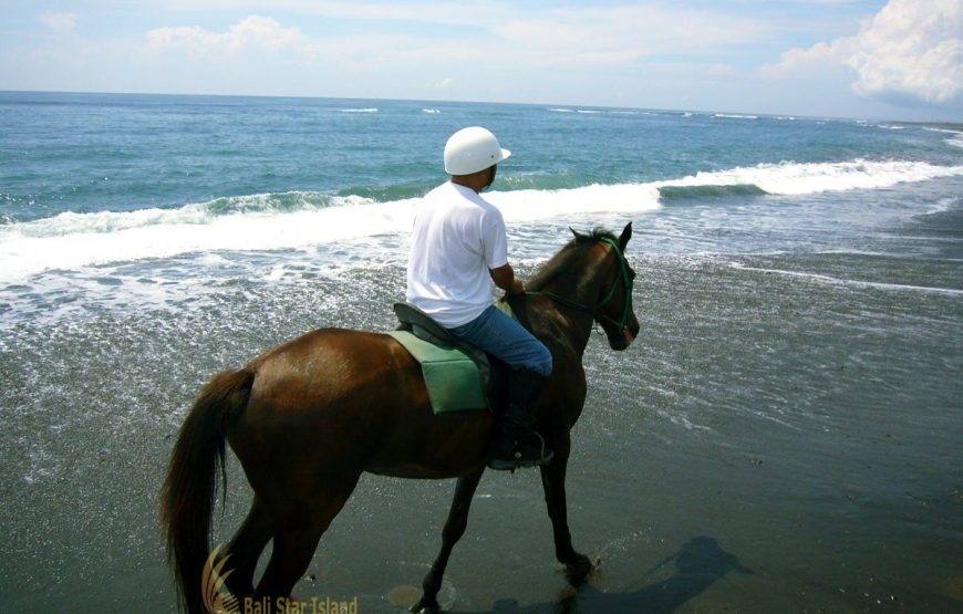 Bali Horse Riding – Saba Beach