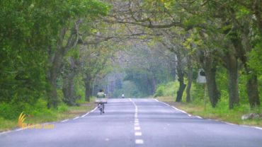 bali, national, park, west bali, national park, bali national park, west bali national park, taman, taman nasional, taman nasional bali barat, tourist activities, bali national park tour