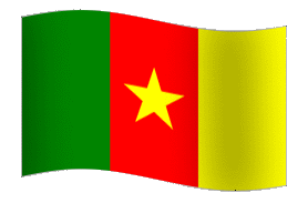 indonesian embassy, high commission, indonesian embassy consulate, cameroon, cameroon flag, indonesian embassy for cameroon