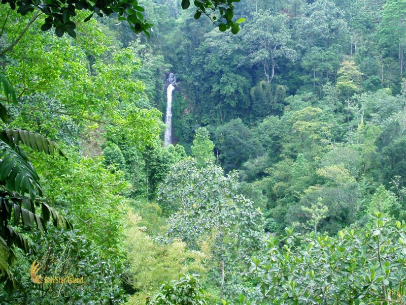 gitgit, singaraja, bali, waterfalls, gitgit waterfall, singaraja bali, places, places of interest, bali places of interest, view