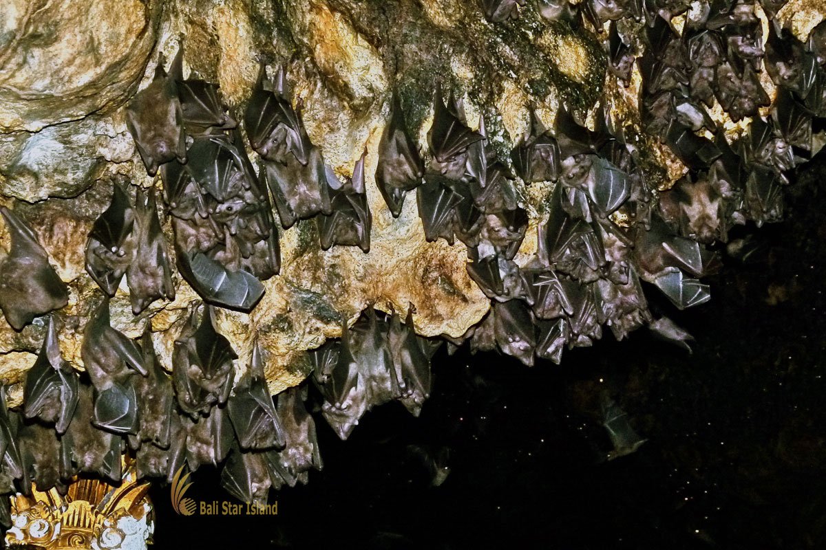Gowa Lawah the Bat Cave