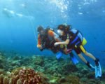 Diving at Menjangan North package bali dive padi dive certificate