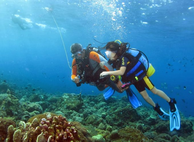 Diving at Menjangan North package bali dive padi dive certificate