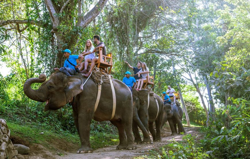 Bali Zoo Elephants Expedition a Fun Safari Package