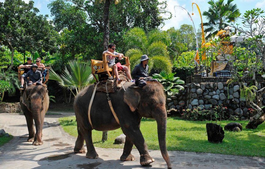 Bali Zoo Elephant Rafting Package – Bali Adventure Packages