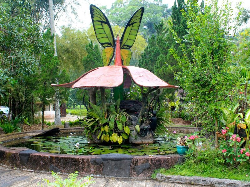 bali, park, butterfly park, bali butterfly park, place to visit, place of interest, tourist destination