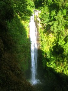 bali, waterfall, carat waterfall, nature waterfall, beautiful waterfall, bali waterfall, bali nature, place to visit, place of interest, wonderful waterfall, place of interest, place to visit