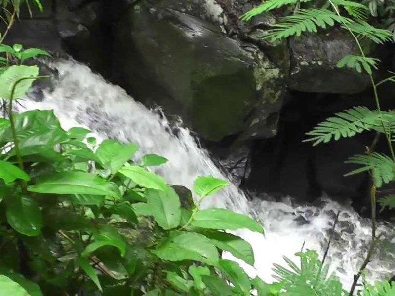 bali, nature, bali nature, waterfall, bali waterfall, waterfall in bali, bali hidden waterfall, hidden waterfall, dusun kuning, dusun kuning waterfall, place of interest, nature waterfall, clean water, natural environment