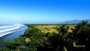 rambut siwi, bali, jembrana, negara, temples, rambut siwi temple, tourist travel guides