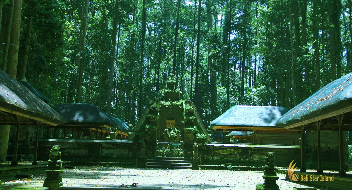 sangeh, monkey, forest, bali, places, interest, sangeh monkey forest, places of interest, bali places of interest