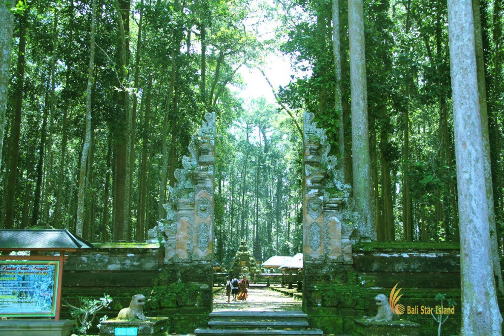 temple entrance gateway sangeh monkey forest bali places interest sangeh monkey forest