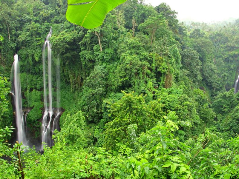 sekumpul waterfall, singaraja, bali, singaraja bali, waterfalls, singaraja waterfalls, bali waterfalls, hidden waterfalls, places, places of interest, overview, places to visit