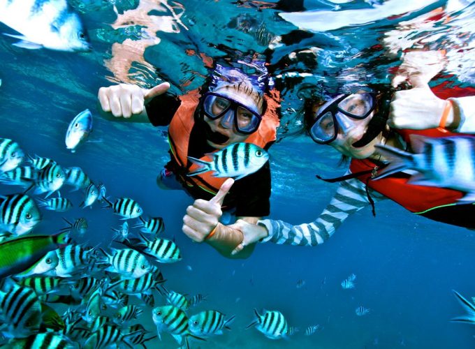 Snorkelling at Gili Islands bali, snorkeling, adventures, marine, water sport, activities, bali snorkeling, bali snorkeling adventures, marine water sport, water sport activities, bali marine water sport, fishes