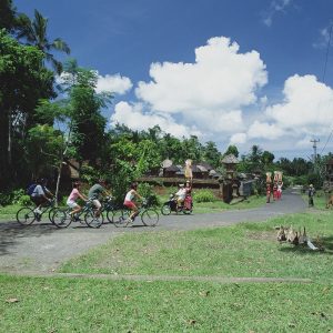balinese village