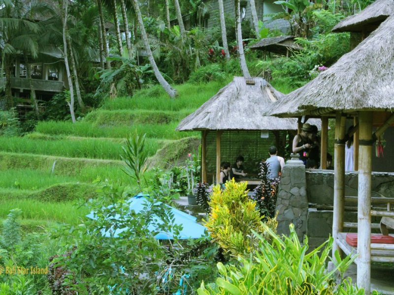 restaurant, tegallalang, rice, terrace, ubud, bali, places, interest, tegalalang rice terrace, places of interest, bali places of interest