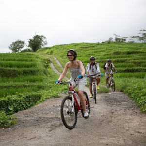 jatiluwih rice terrace, jatiluwih cycling, jatiluwih, bali, rice terrace, cycling, tour, a true balinese, experience, cycling tour, a true balinese experience