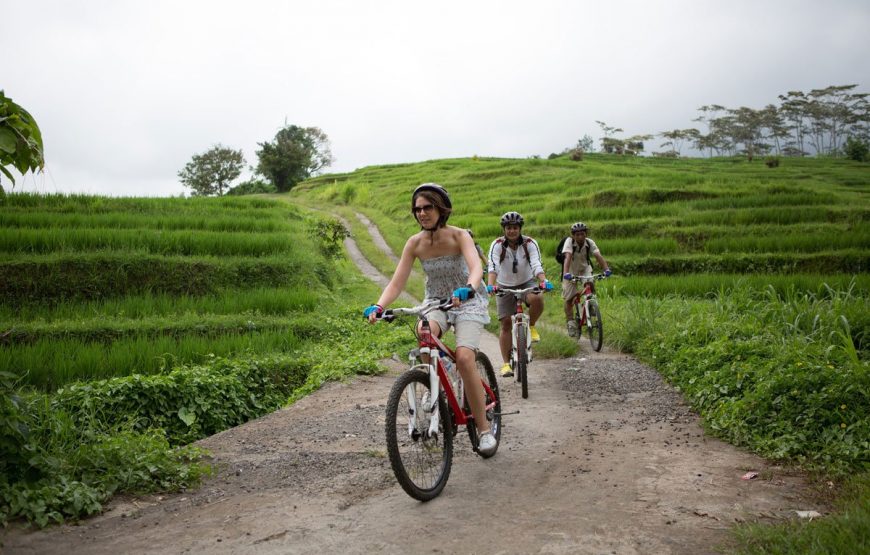 Bali Cycling Elephant Ride Experiences and Water Rafting Package