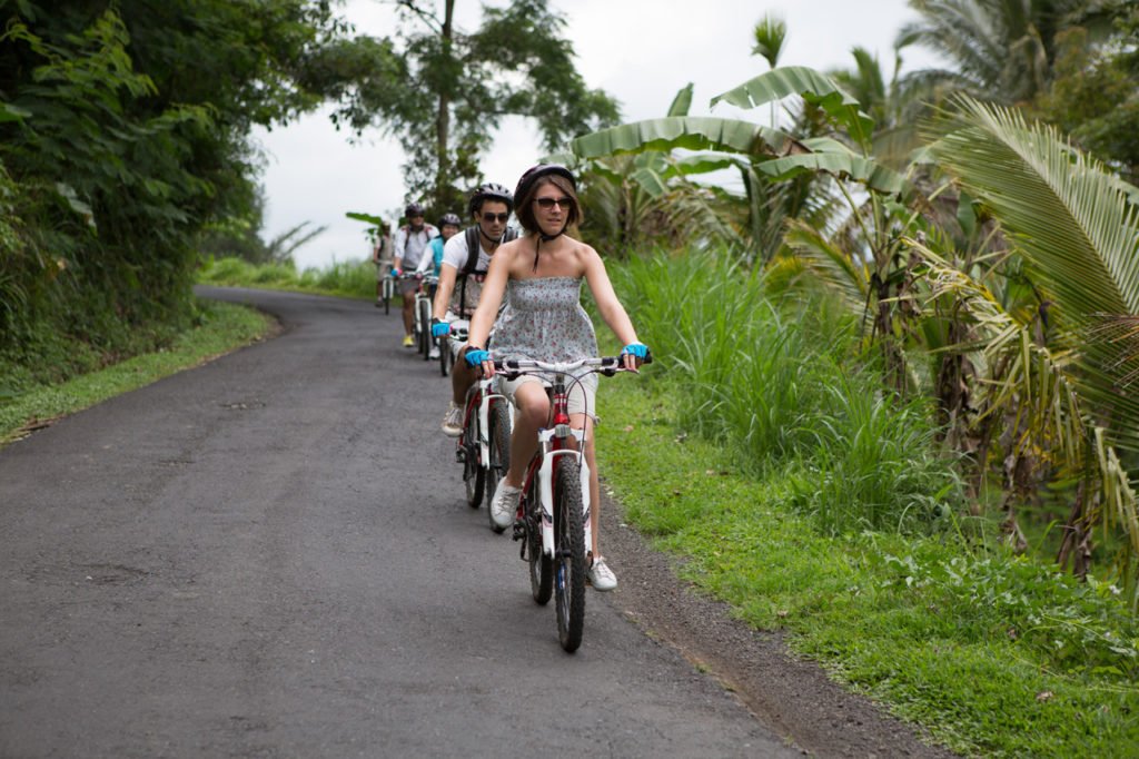 jatiluwih rice terrace, jatiluwih cycling, jatiluwih, bali, rice terrace, cycling, tour, a true balinese, experience, cycling tour, a true balinese experience