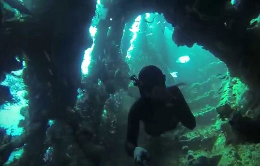 Bali Dive – Diving at Tulamben Liberty Wreck Site