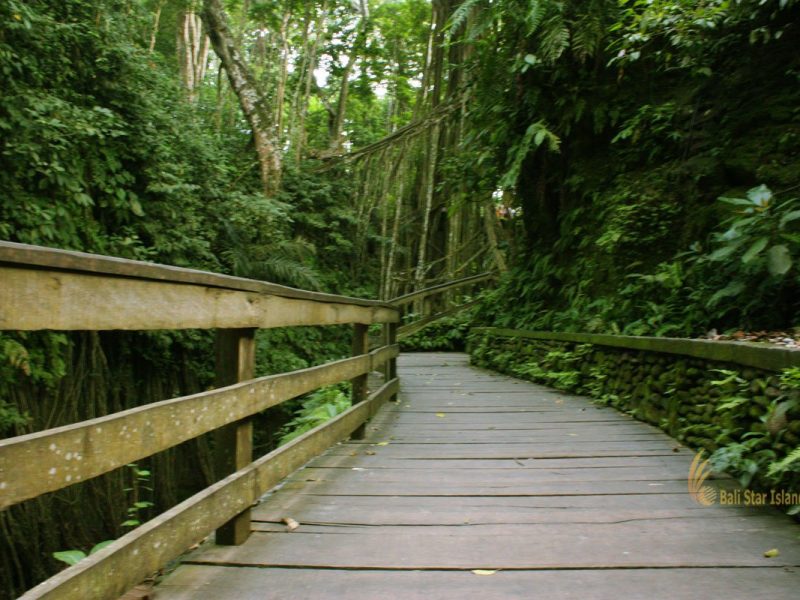 ubud, monkey, forest, bali, places, interest, ubud monkey forest, monkey forest, places of interest, bali places of interest, monkey forest, wooden path