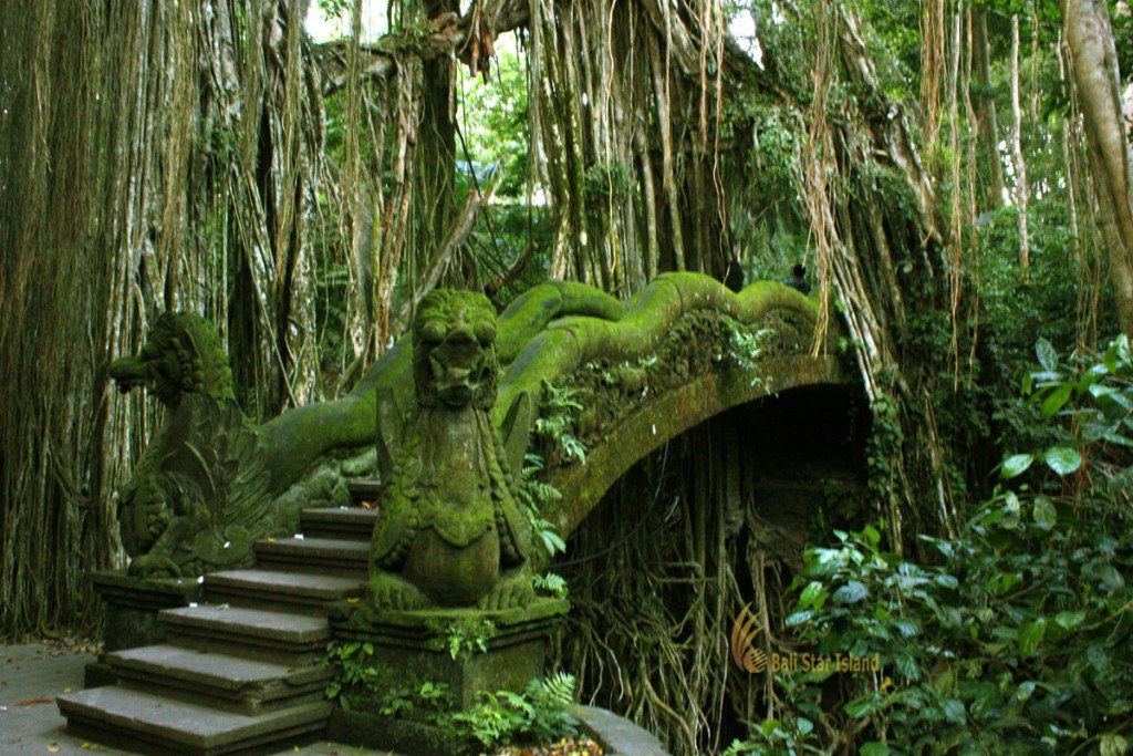 ubud monkey forest interest place of interest bali gianyar rain forest
