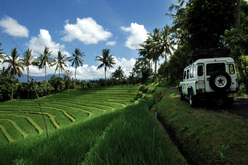 waka, land cruise, 4 wd, jeep, adventures, tours, waka land cruise, land cruise adventure, 4 wd jeep, jeep adventure, rice field, exploration