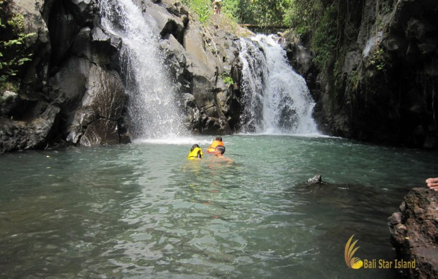 Bali Waterfalls adventure and Forest Education Tour (BLFD.30)