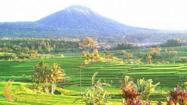 batukaru tours, batukaru tour, jatiluwih rice terrace