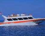 gili fast boat bali gili island fast boat boat transfers bali gili boat transfer