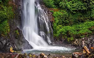 explore bali island to see tourist activities gitgit, singaraja, bali, waterfalls, gitgit waterfall, singaraja bali, places, places to visit
