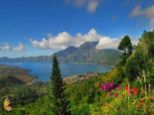 bali, tourist place, kintamani, batur lake, kintamani volcano