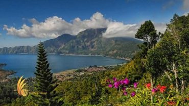 Kintamani Bali is one of the famous tourist destination in Bali Island featured by active Batur Volcano and Lake. The area of north-eastern Bali at the Mount Batur caldera, and which encompasses Penelokan, Toya Bungkah, Batur, Kedisan, Abung, Songan and Kintamani villages. Kintamani, Batur and Penelokan villages sit on the rim of the huge Batur caldera about 1,500 meters above sea level. More than that, Kintamani offer dramatic views of the active volcano Mount Batur and serene Lake Batur.
