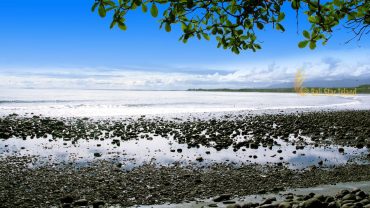 medewi, bali, beach, surf, spots, medewi beach, surf spots, surf points, bali surf spots,