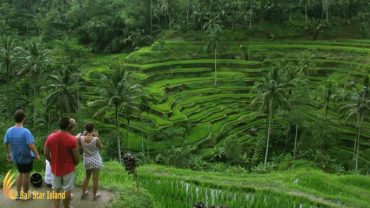 ubud tour, ubud sightseeing, visit bali natures, visit bali cultures