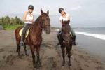 bali horse riding, horse riding adventure