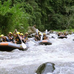 bali, adventure, tours, rafting, ayung river, bali adventure, bali adventure tours, ubud