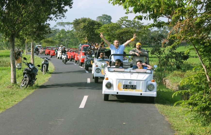 Karangasem Tour Expedition | East Bali VW Safari Tours