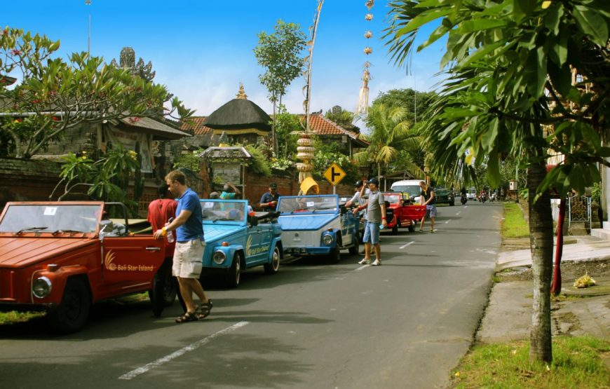 Bali VW Safari Car Charter