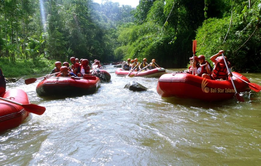 Bali Rafting Experience and Marine Walk Activities Combination Packages