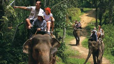 bali elephant camp, elephant camp, bali elephant ride, elephant safari