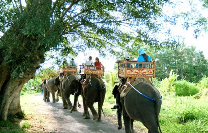 Bali Elephant Camp, Elephant Safari Ride Activities