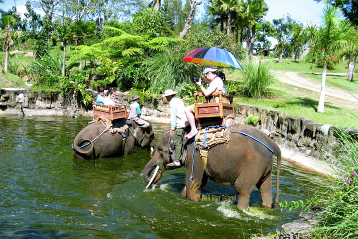 elephant pool, elephant bathing pool, bali elephant camp, elephant camp