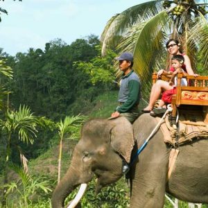 Elephant Ride Ubud Tour, elephant camp ride, bali elephant camp, elephant camp