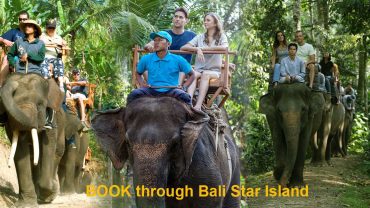 bali elephant ride, bali elephant ride booking, elephant ride booking, bali elephant camp, bali elephant safari