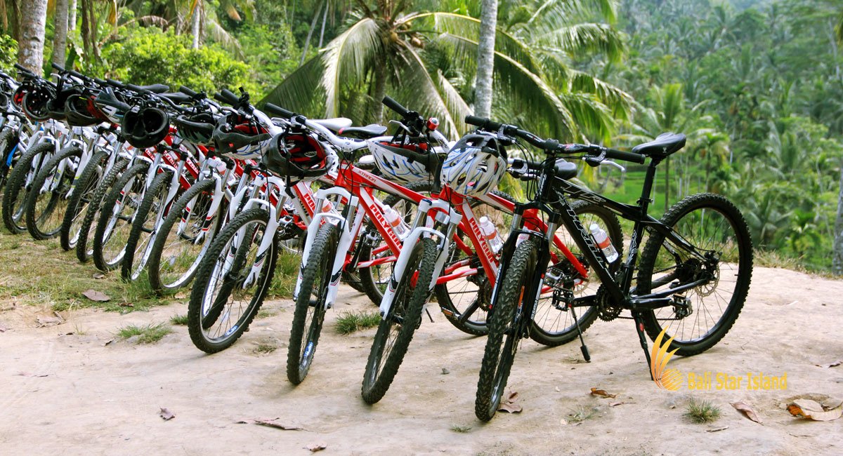 bali cycling adventures, bali, cycling, adventures, bali cycling, rice paddy cycling, village cycling, cycling adventures