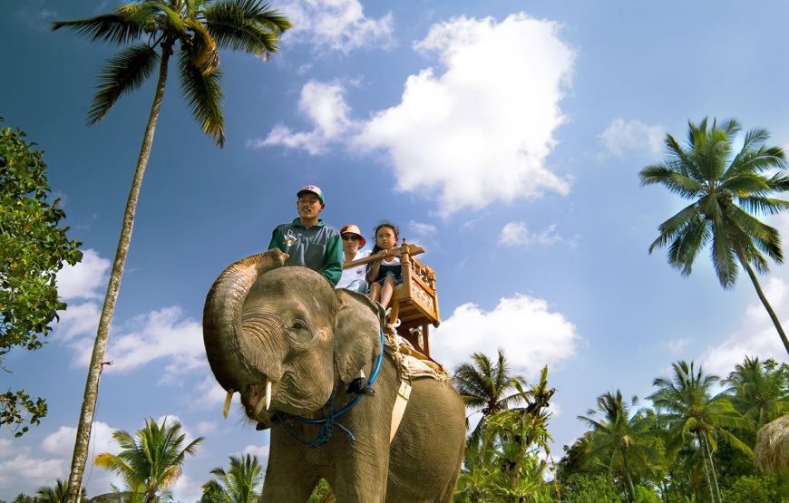 Bali Elephant Camp and Ayung River Rafting Packages