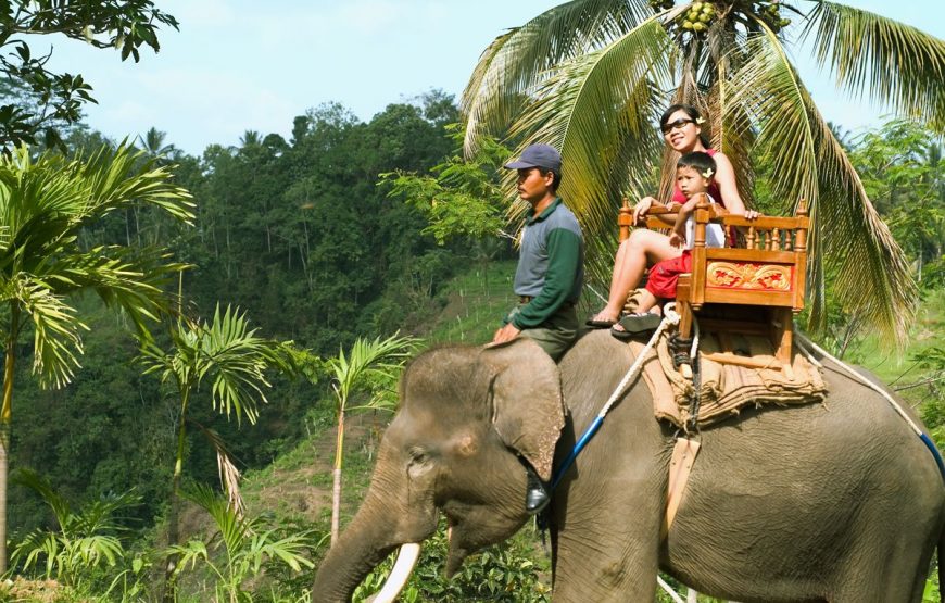 Bali Elephant Camp and Ayung River Rafting Packages