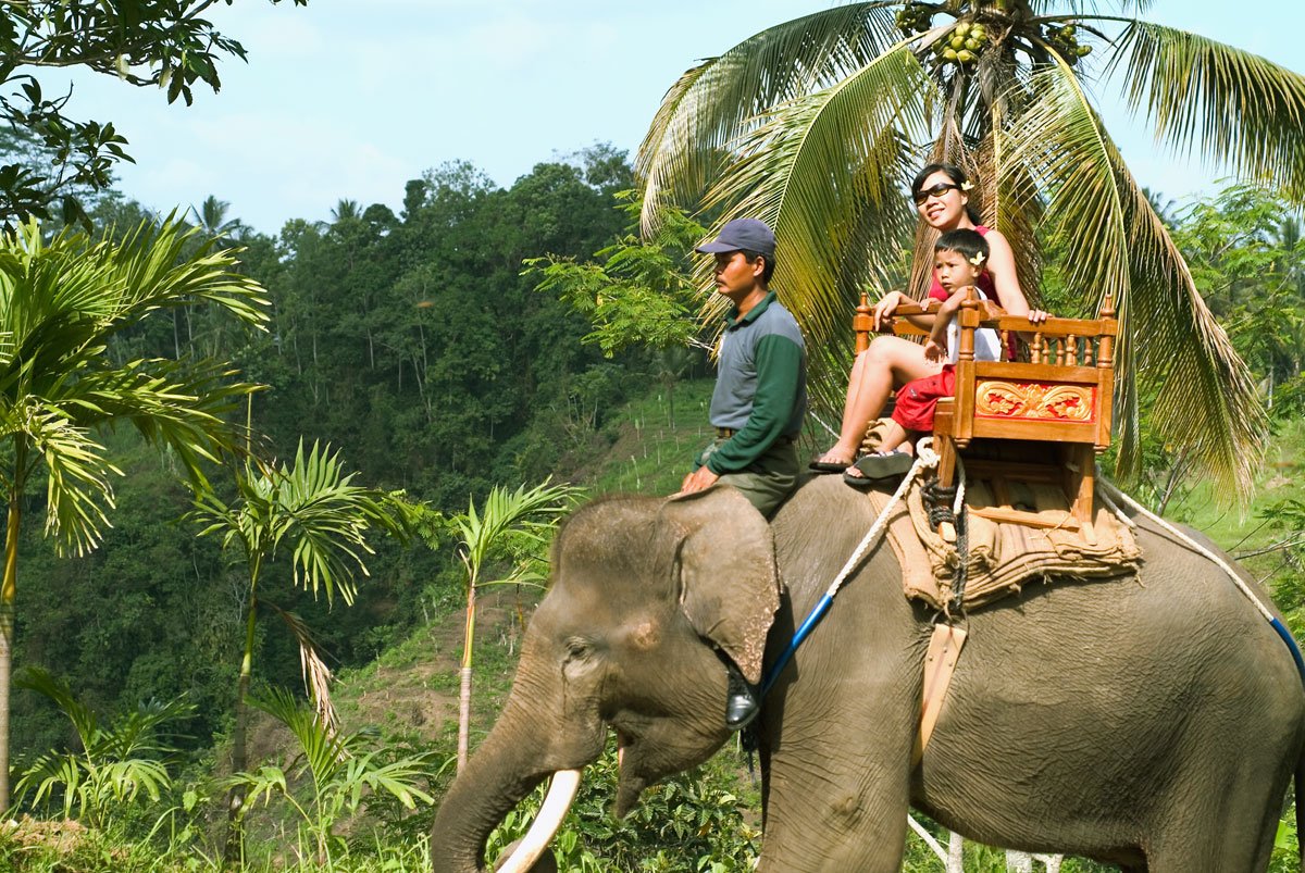 bali elephant ride tours
